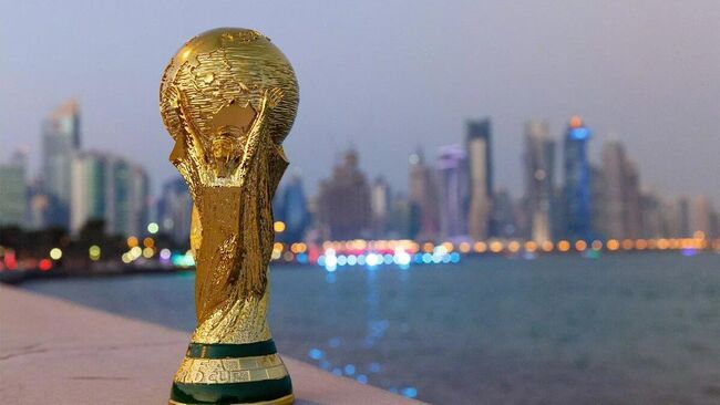 Сборная ЮАР впервые вышла в плей-офф ЧМ по футболу