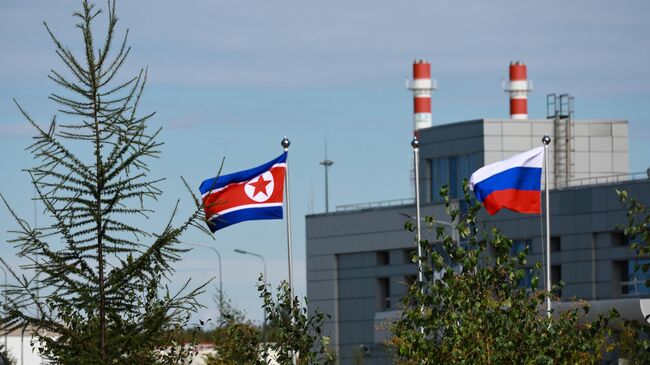Россия может стать посредником между КНДР и Южной Кореей, считает эксперт