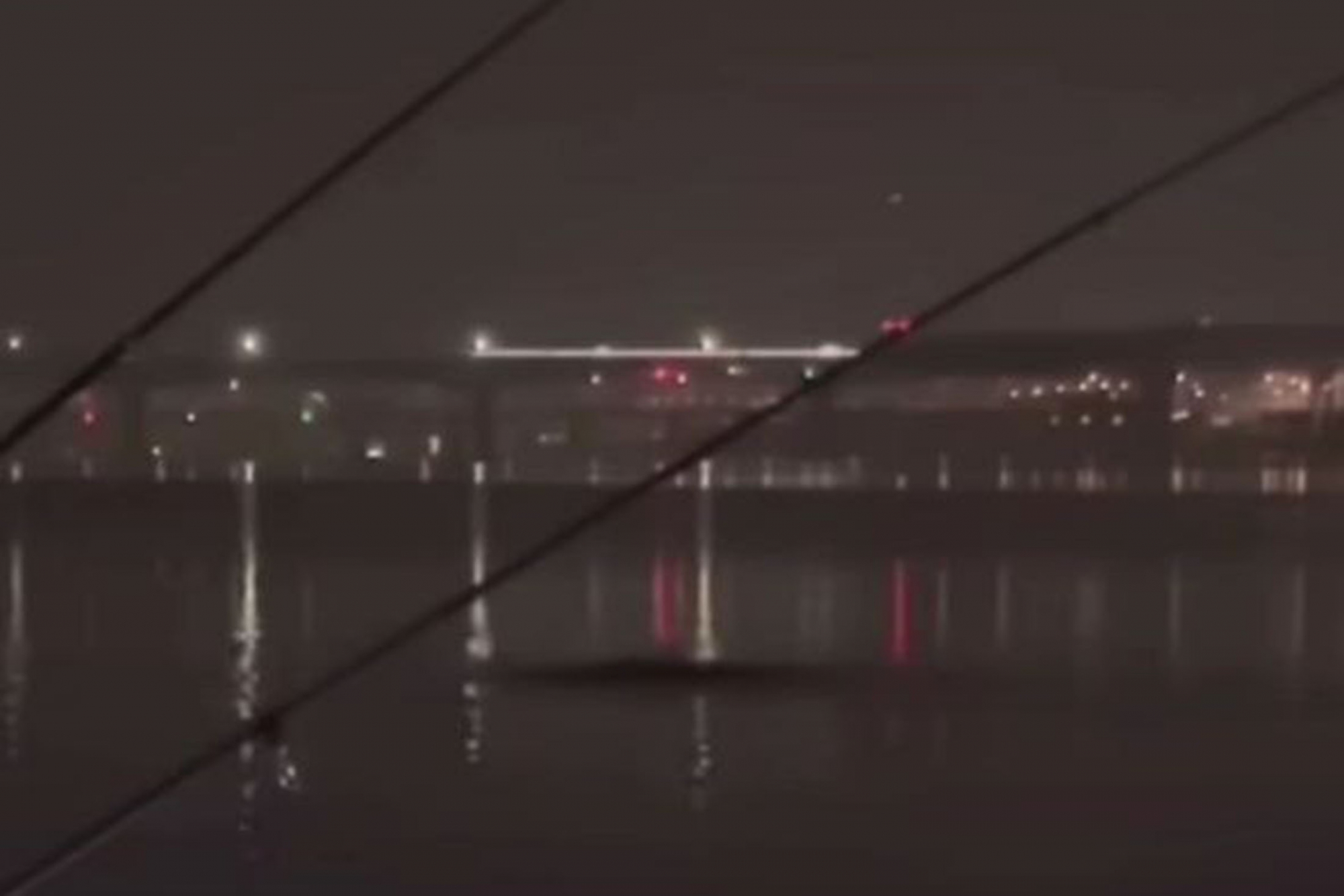 В Сеуле рыбак наткнулся на загадочное существо в воде и снял его на видео