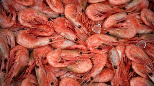 Россия в сентябре нарастила поставки морепродуктов в Южную Корею до рекорда
