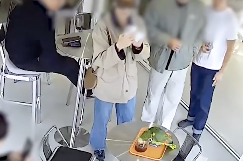 В кафе Сеула появился попугай, который вместе с посетителями пил кофе