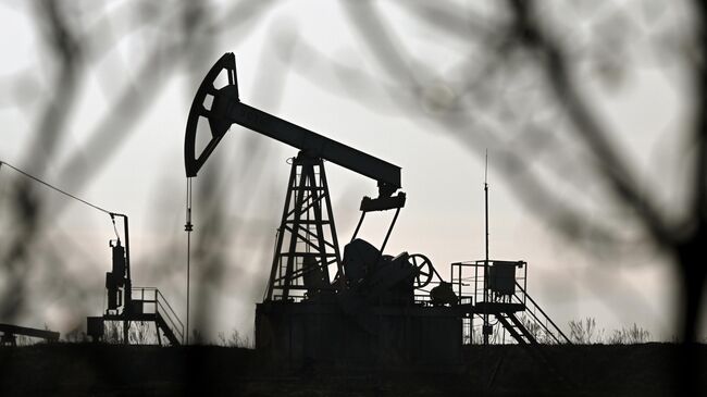 СМИ: Южная Корея рассматривает возможность импорта российской нефти